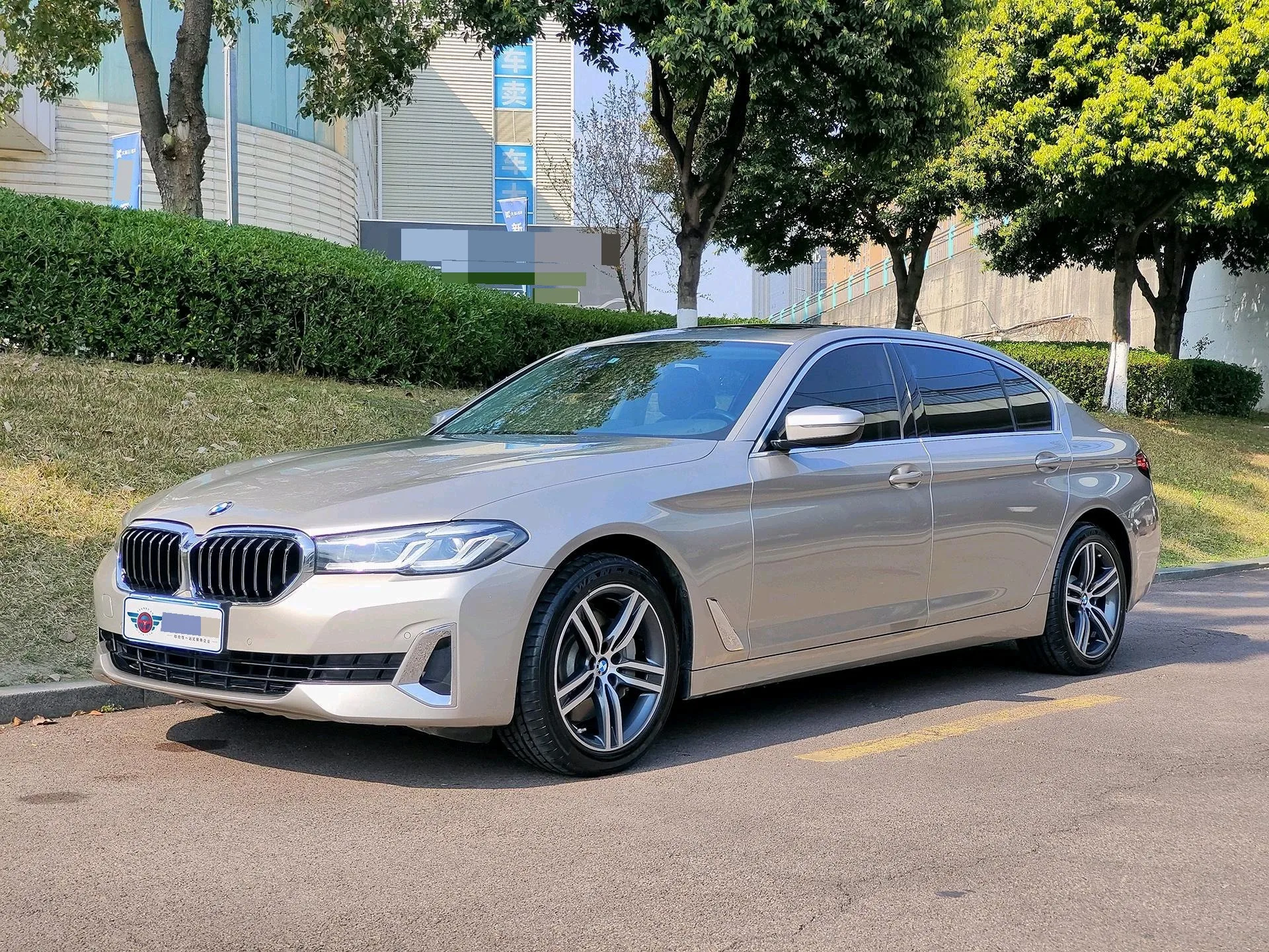 BMW 5 Series 2021 530Li Leading Luxury Package