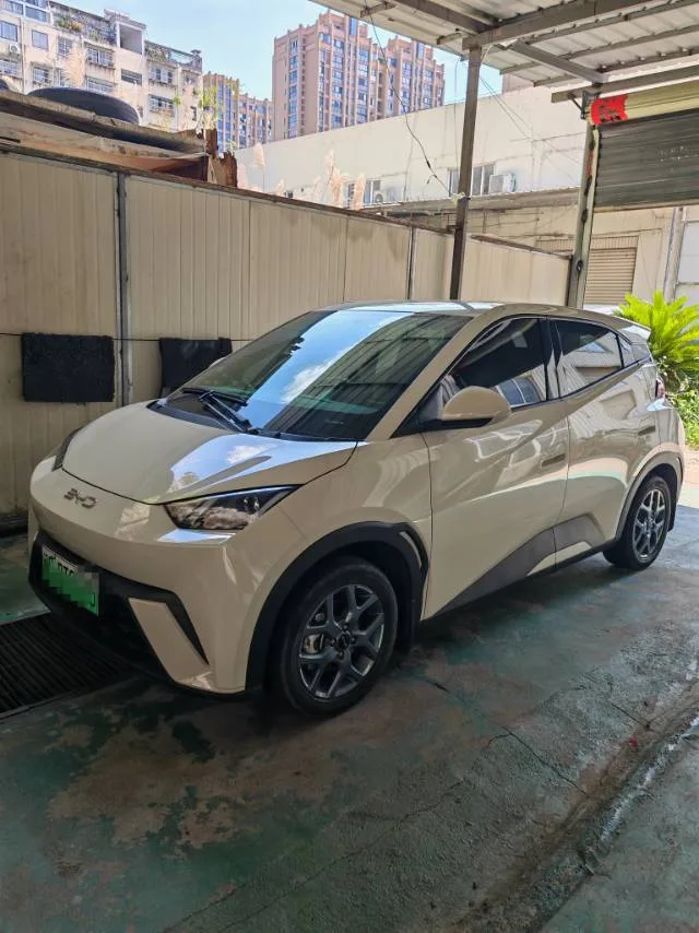 BYD 2024 Seagull Glory Edition 305km/h Vitality Edition Automatic