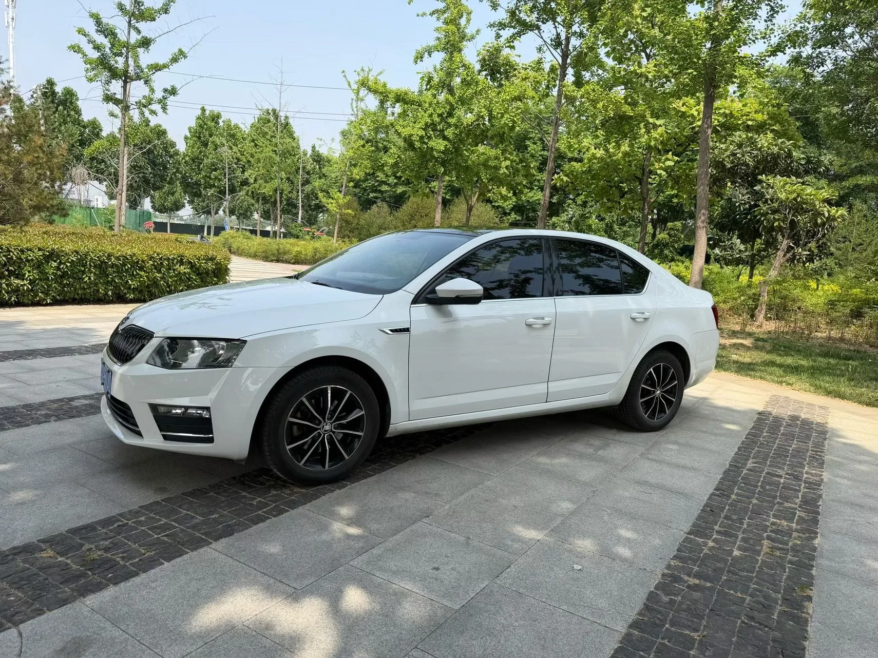 Octavia 2017 1.6L Automatic Smart Edition