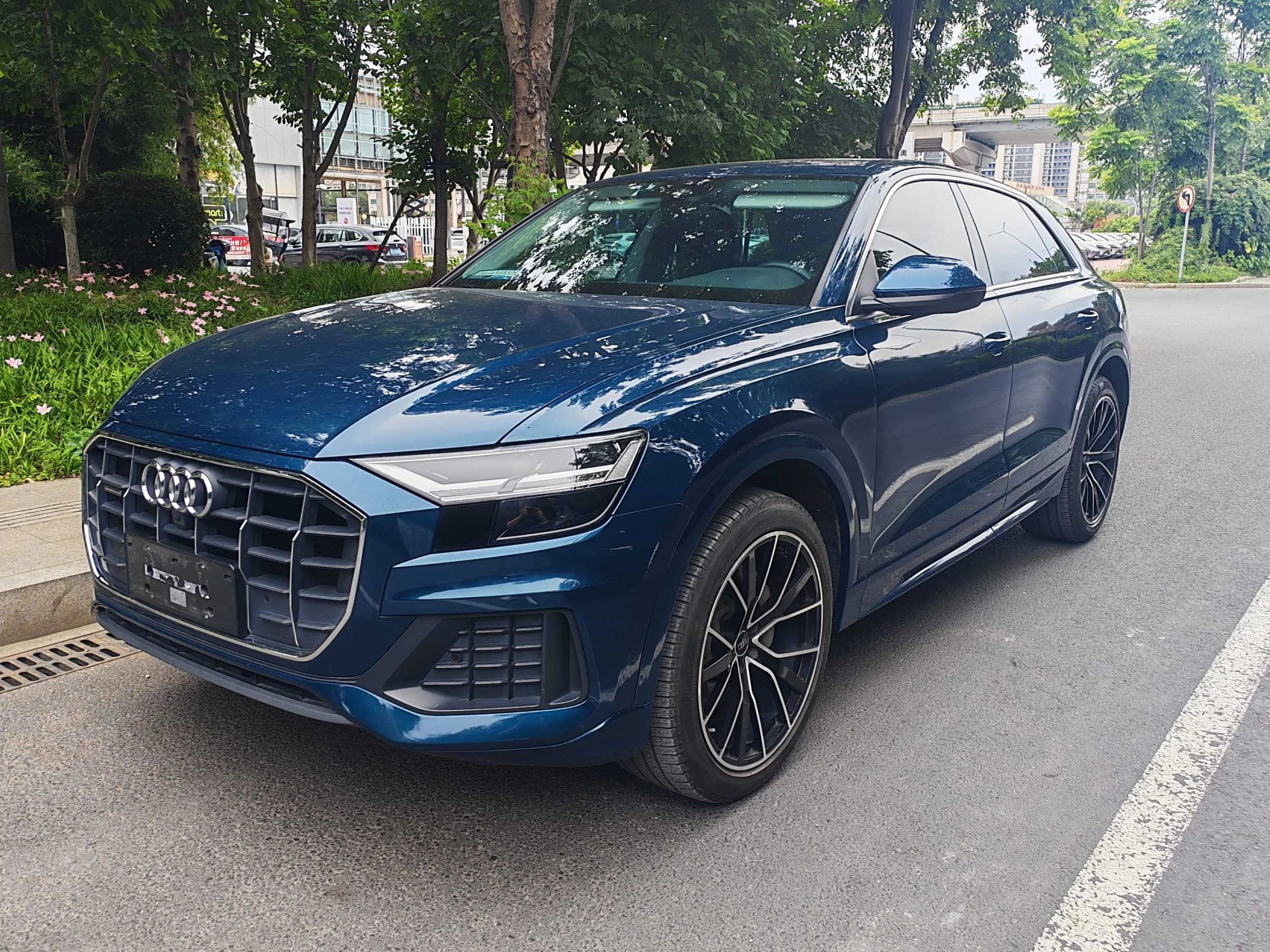 2019 Audi Q8 45 TFSI Luxury Edition