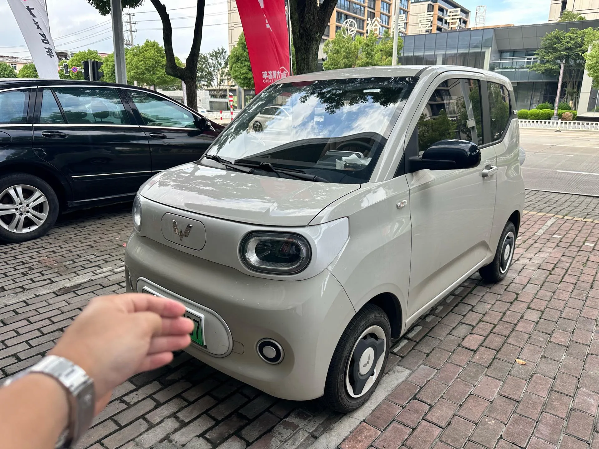 Wuling Sunshine New Energy 2025 Model 201km Standard Edition
