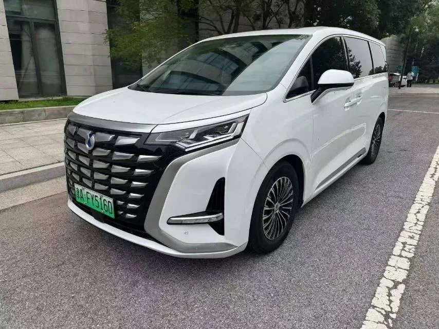 Denza D9 2024 DM-i 1050 Premium Edition