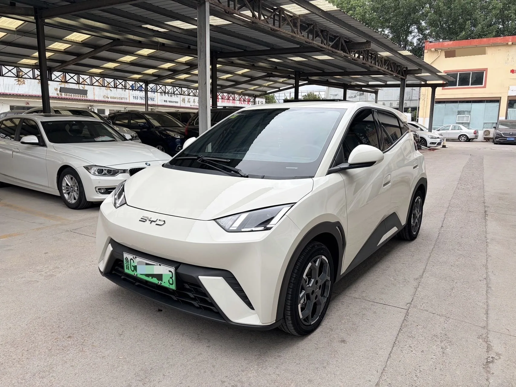 BYD 2025 Seagull 405km/h Flying Edition Automatic