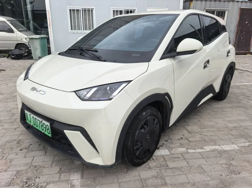 BYD 2024 Seagull Glory Edition 305km/h Vitality Edition Automatic