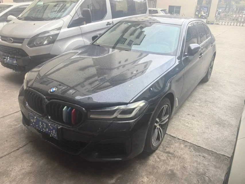 2021 BMW 5 Series 530Li Leading Edition Luxury Package