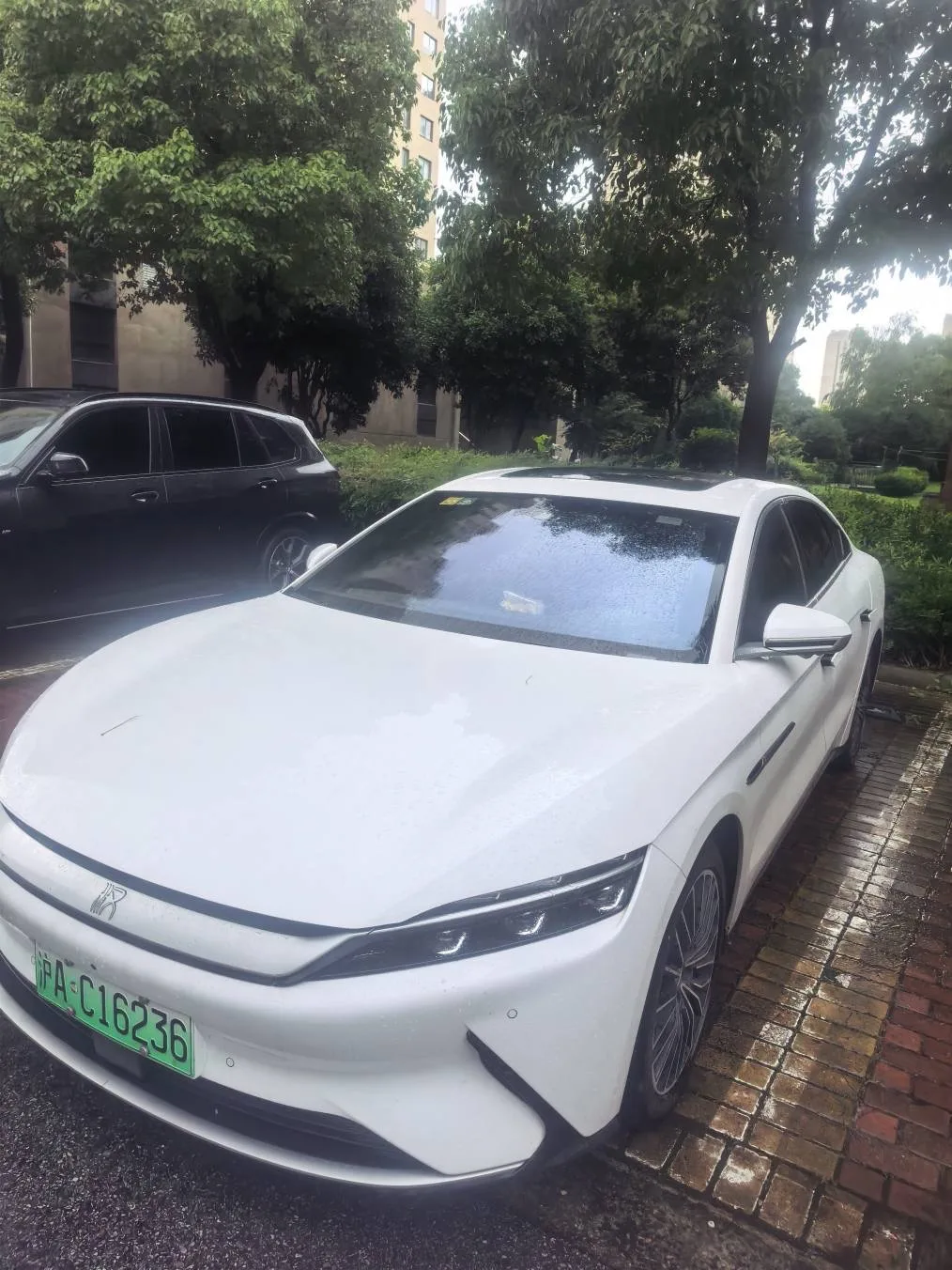 Han 2020 EV Extended Range Luxury Edition