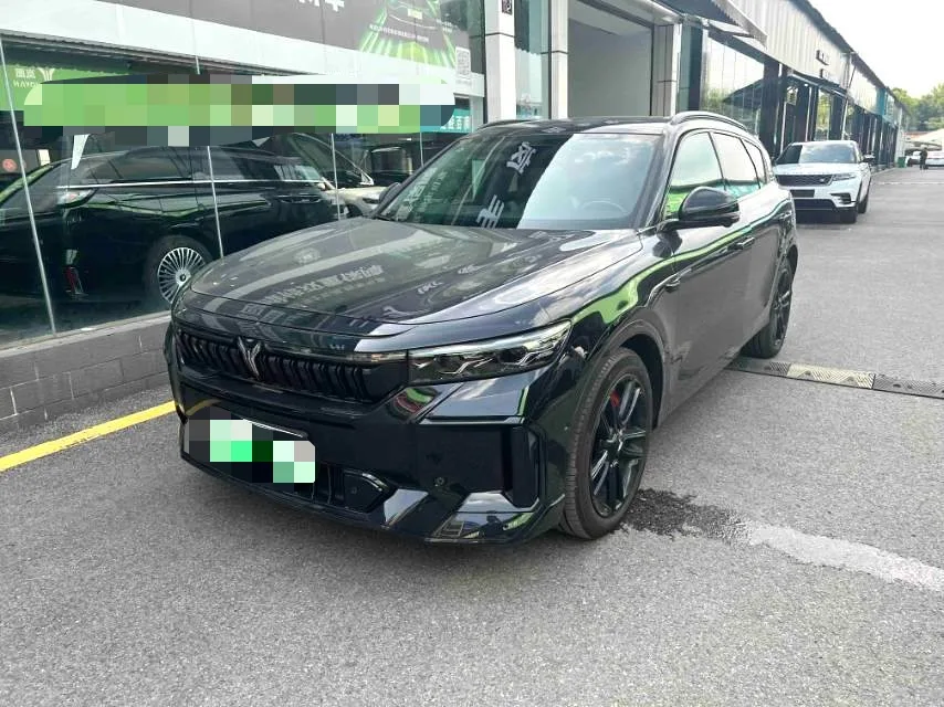 Voyah Free 2025 Model 318 318km Rear-Wheel Drive Touring Edition