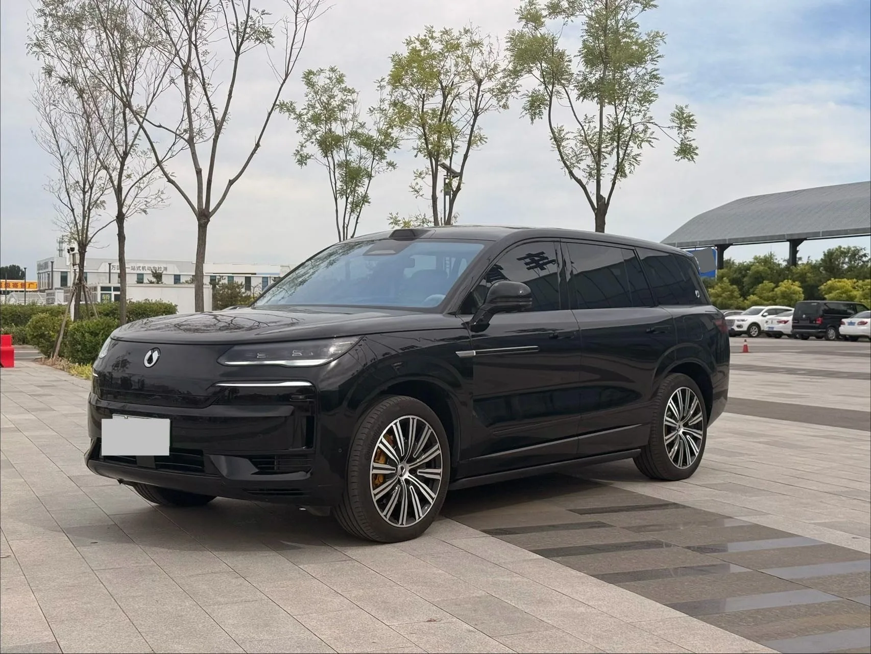 Denza 2025 Denza N9 2.0T CVT 1300 Flagship Automatic
