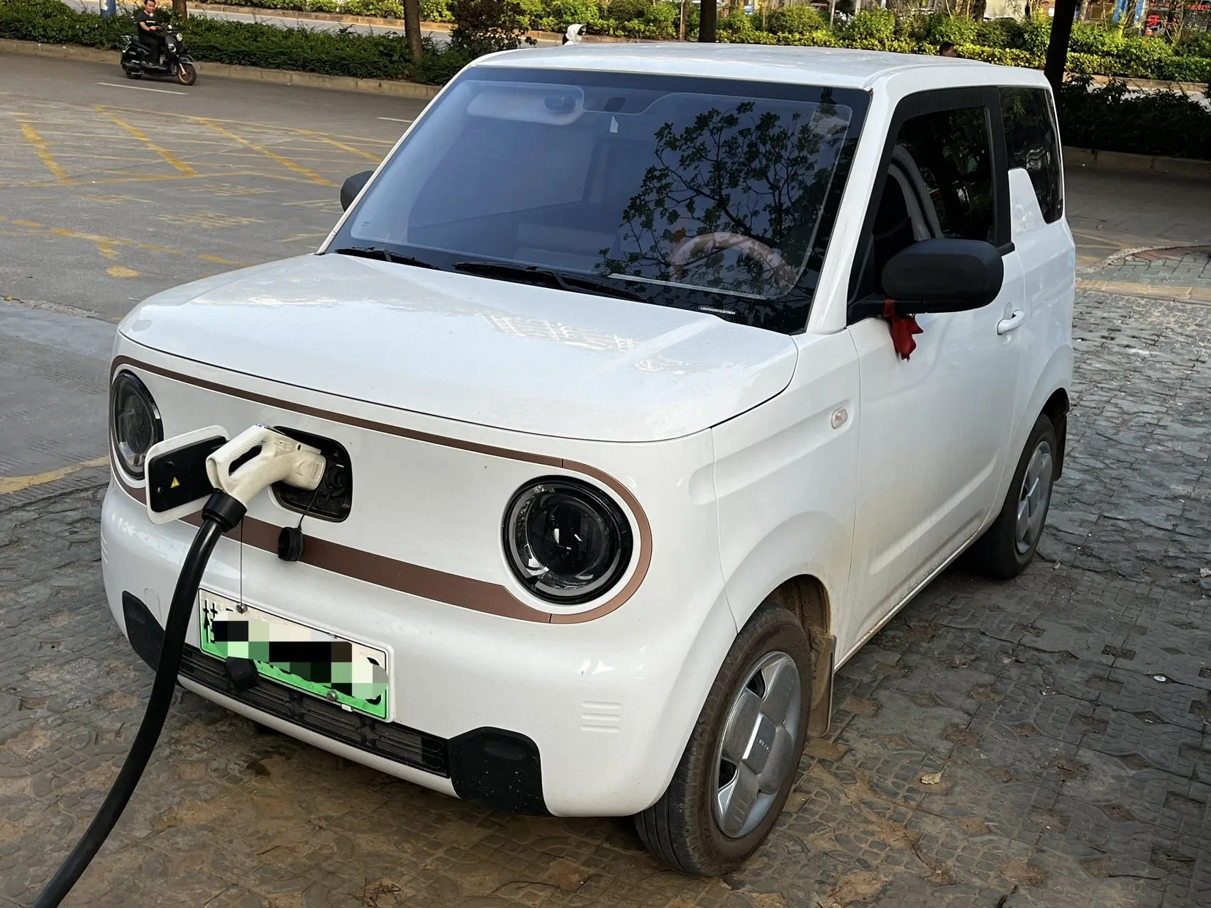 Panda 2024 Panda Mini 200km Endurance Bear