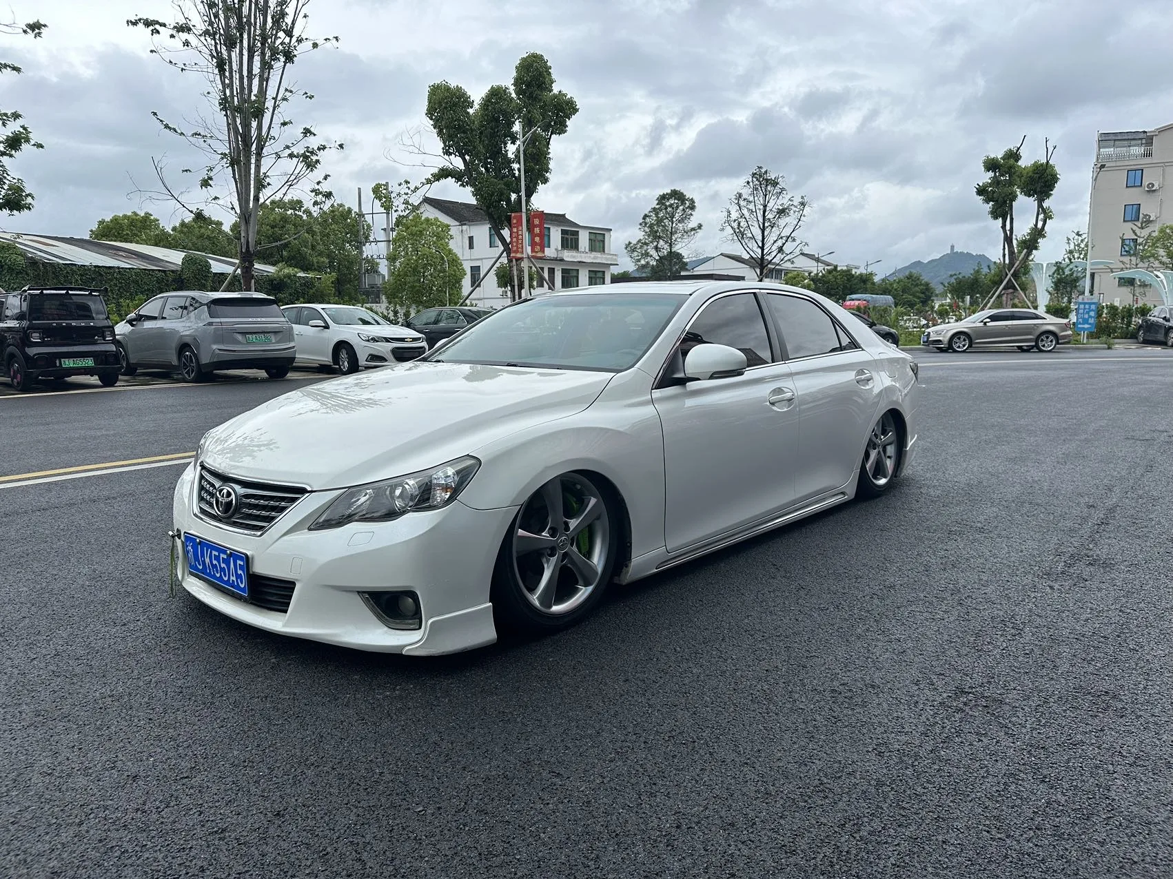 Reiz 2010 2.5V Fashion Elite Edition