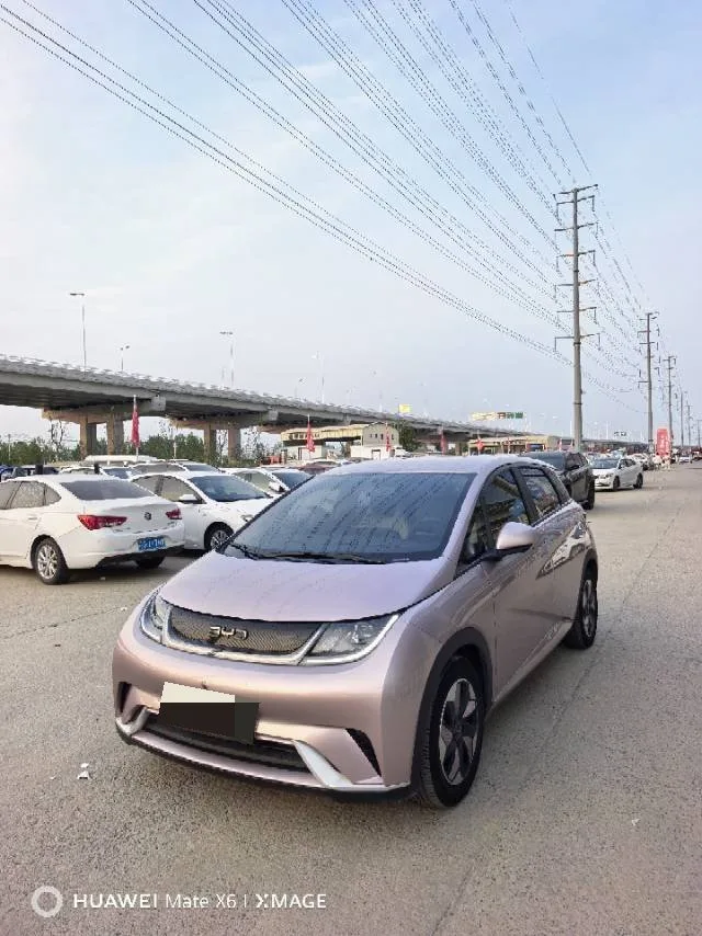 BYD 2023 Dolphin 420km Fashion Edition Automatic