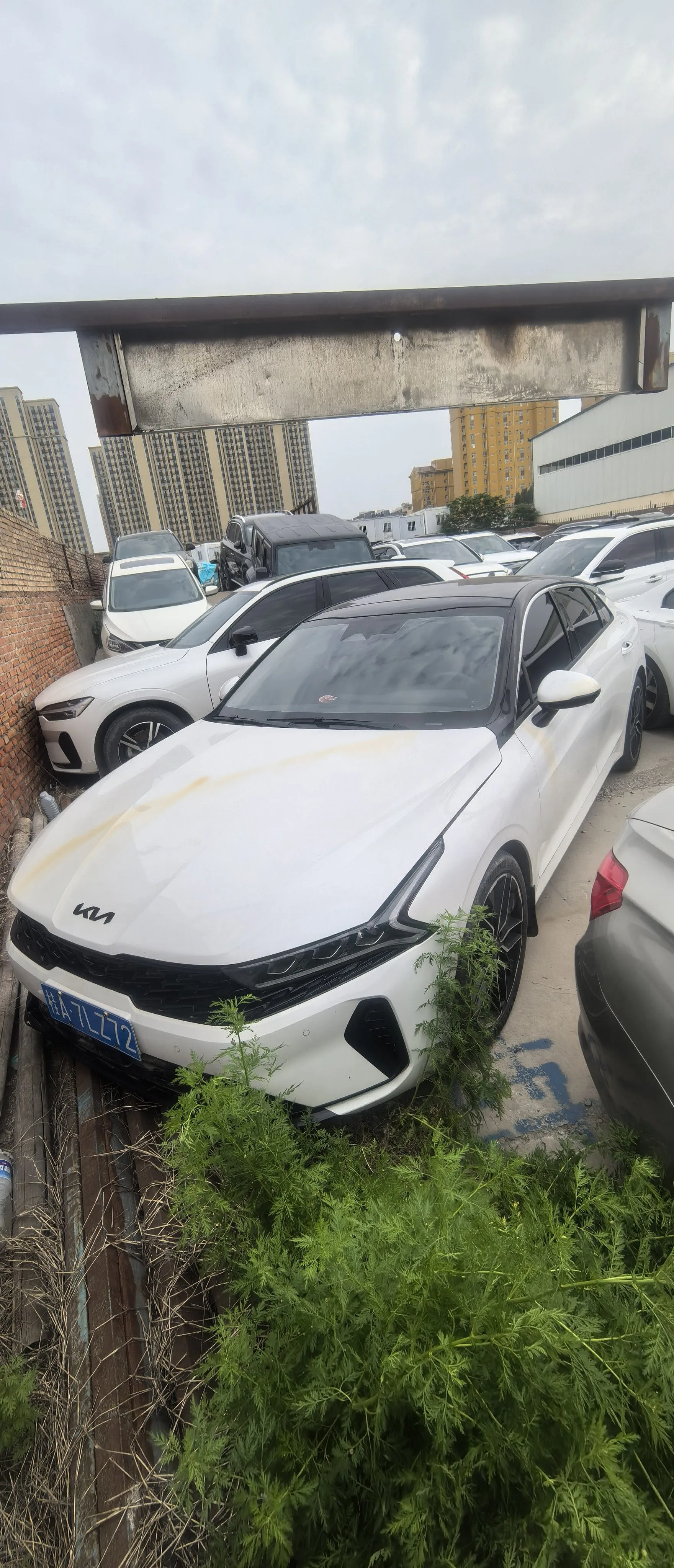 Kia K5 2021 380T GT-Line Refresh Edition