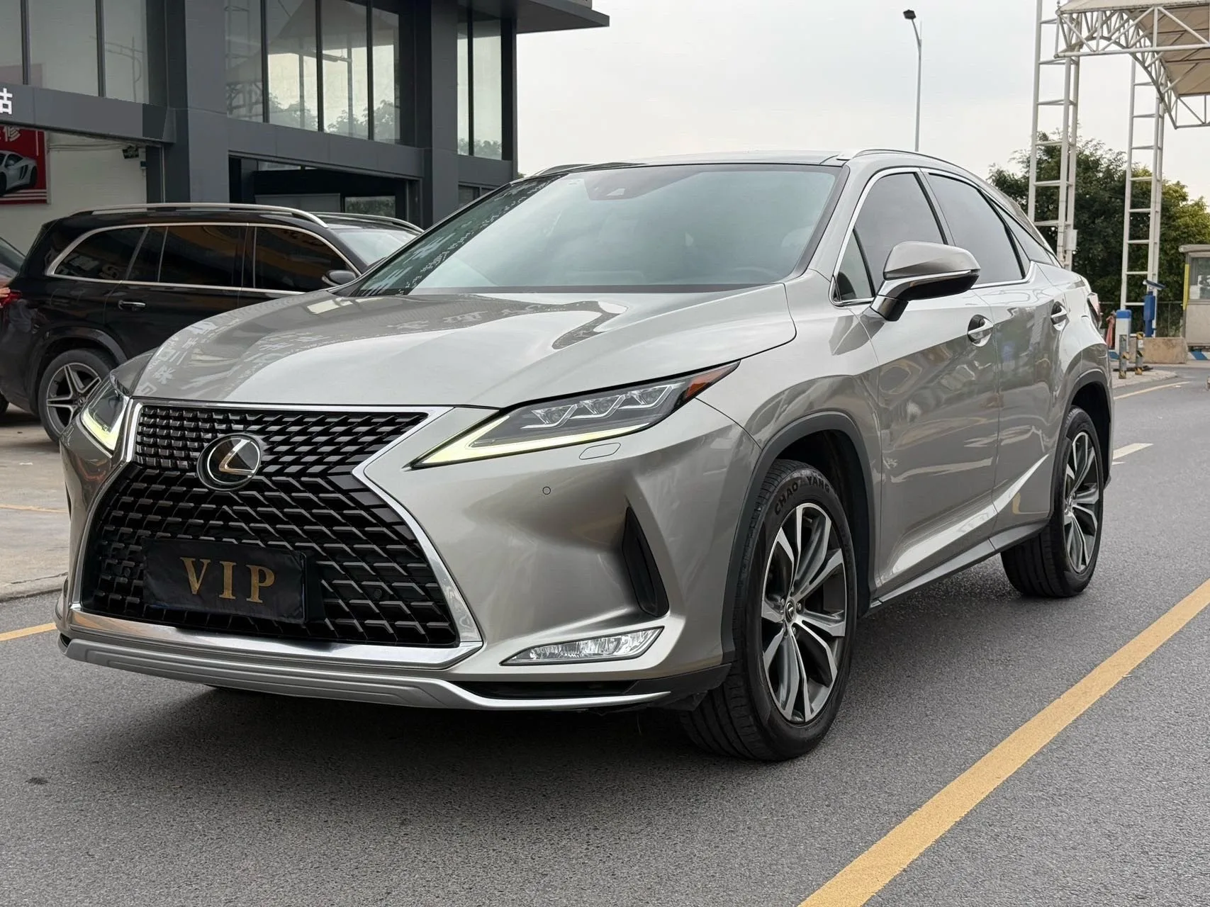 Lexus RX 2020 300 AWD Elegant Edition (China V Emission Standard)