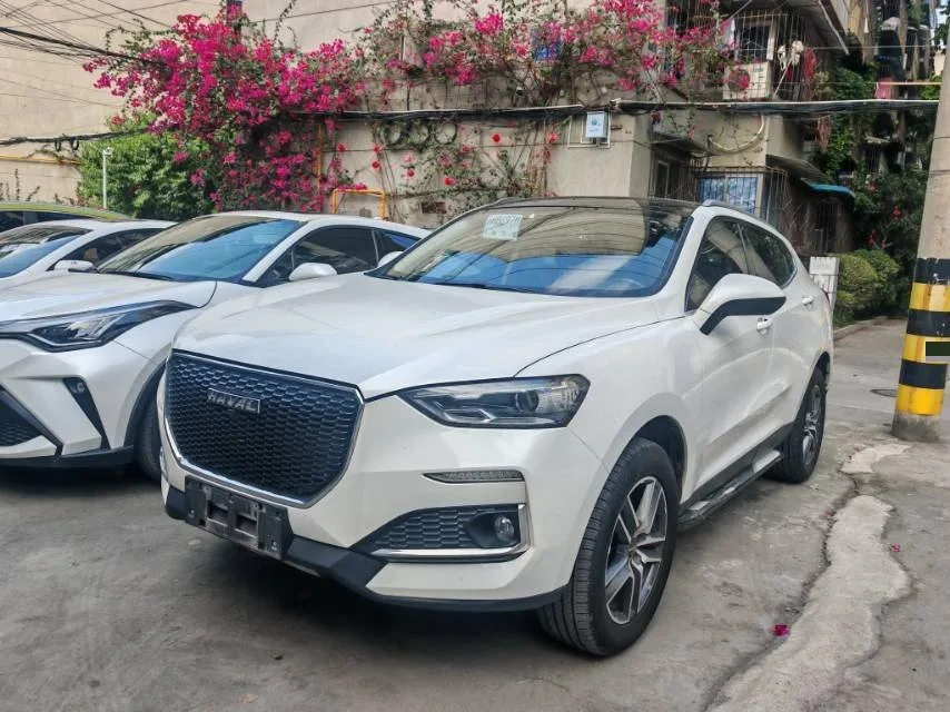 2019 Haval F5 "Guochao" Edition 1.5T i-Type (National V)