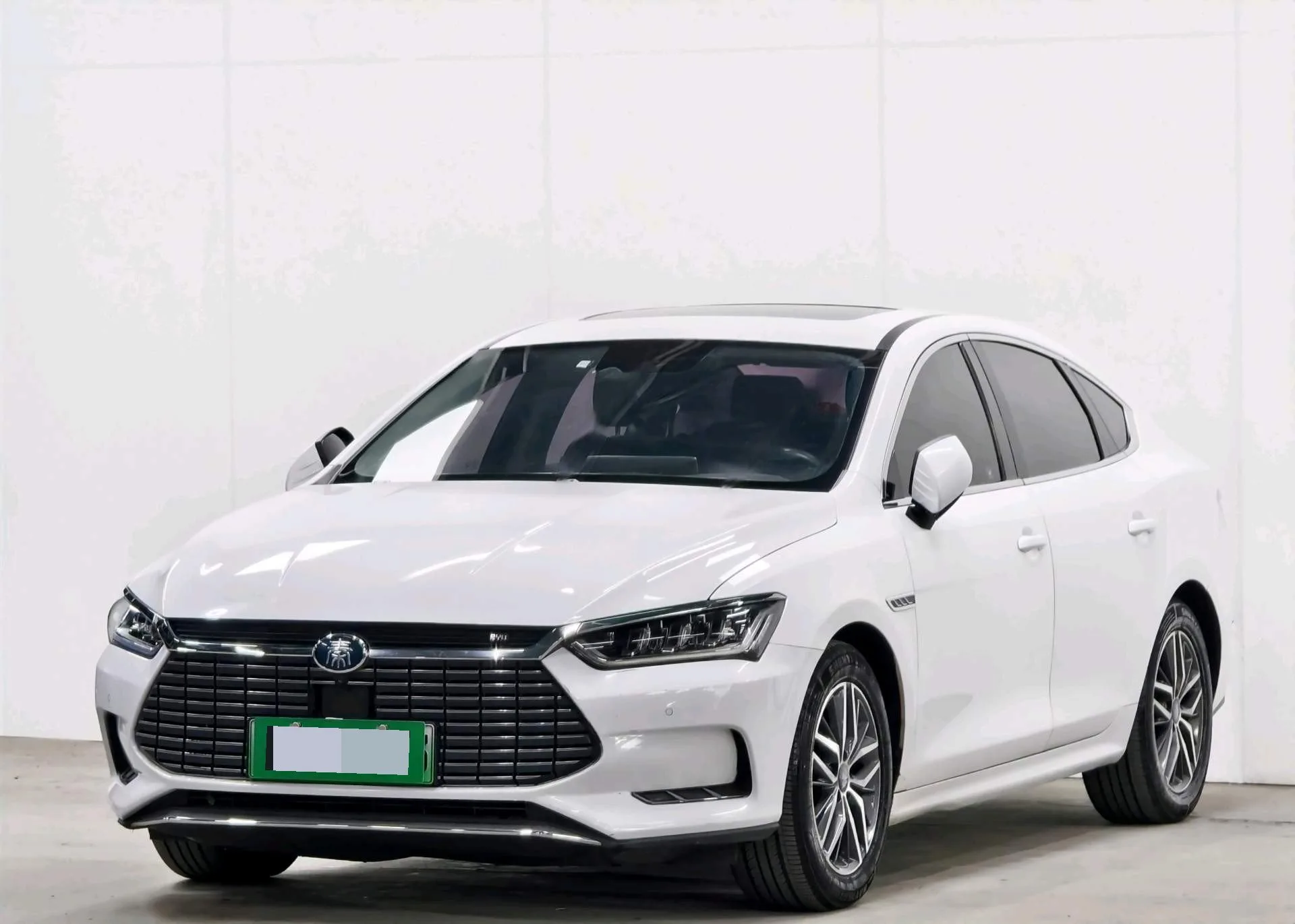 Qin Pro New Energy 2018 EV500 Intelligent Leading Edition