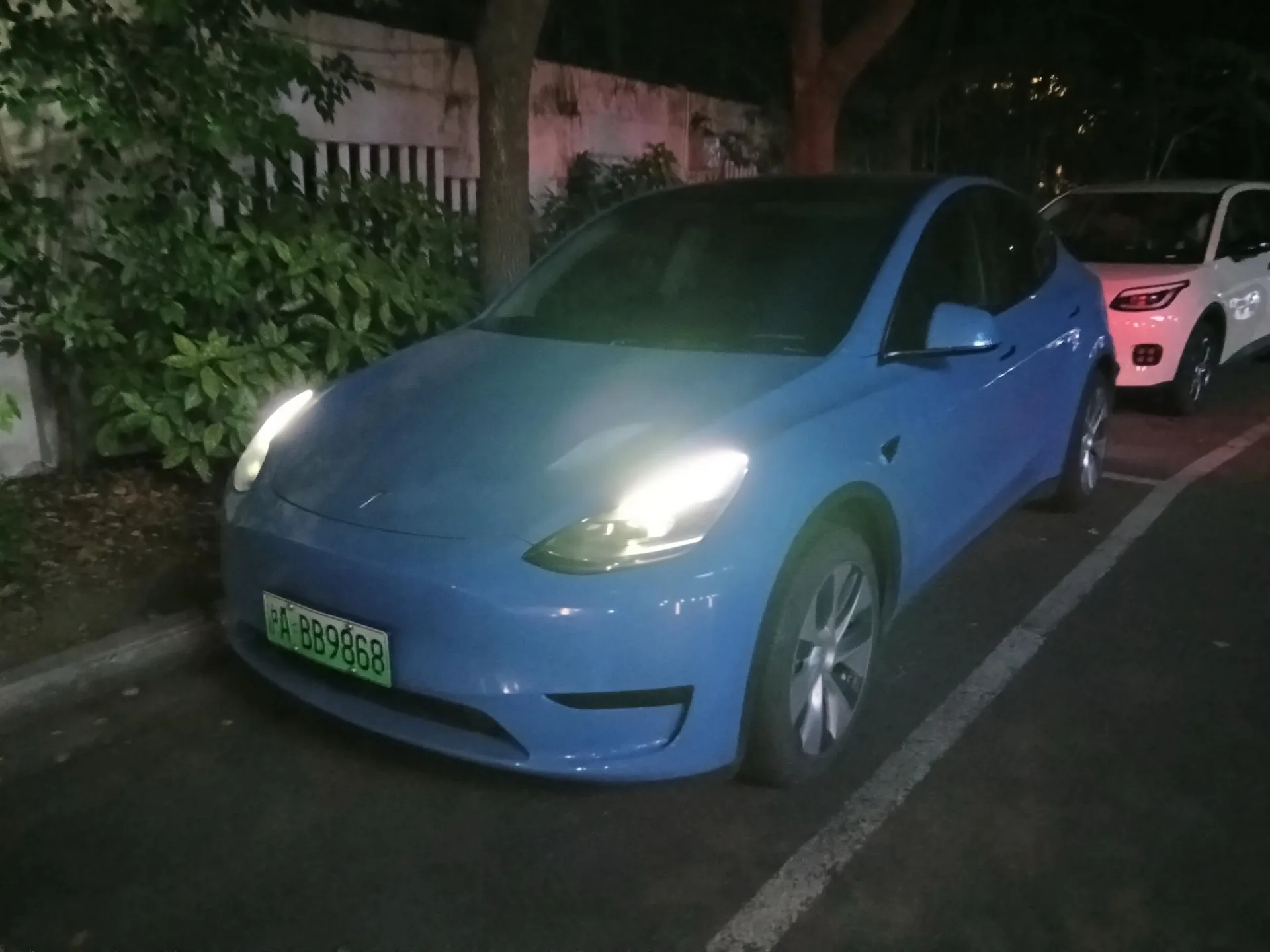 Model Y 2022 Rear-Wheel Drive