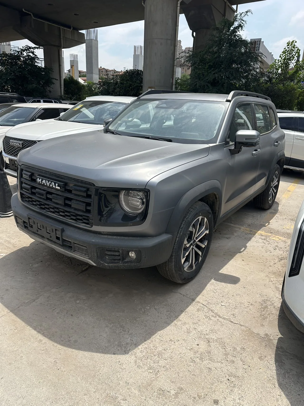 Haval 2026 Big Dog 2.0T Chinese Rural Dog Edition Automatic Transmission