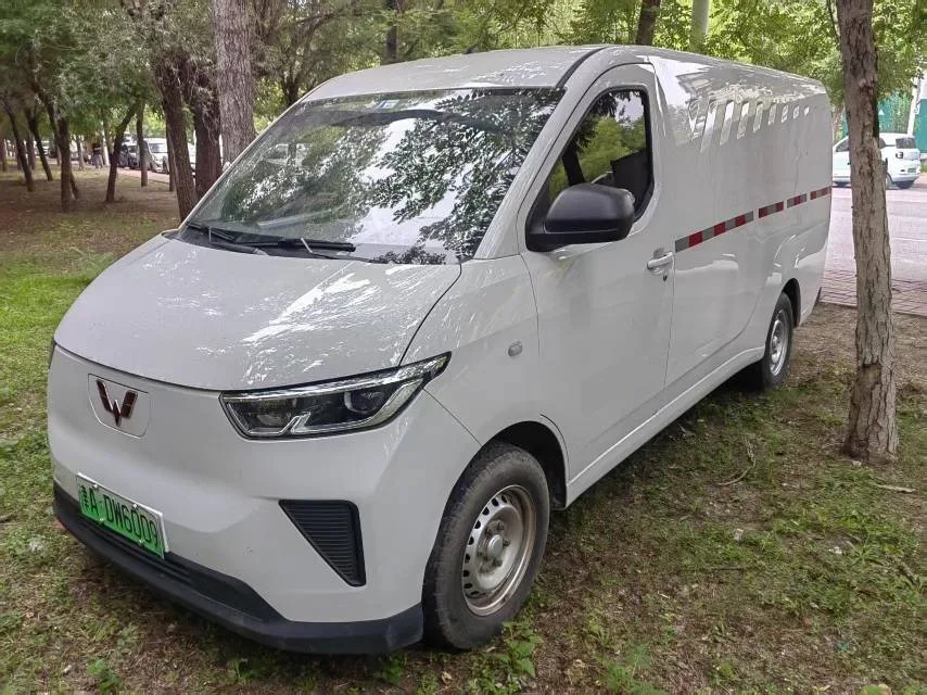 Wuling Yangguang 2024 300km Comfort Edition with Sealed Windows