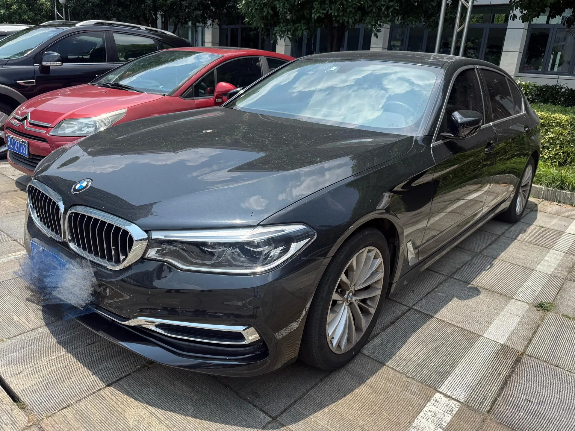 BMW 5 Series 2020 530Li Leading Luxury Package