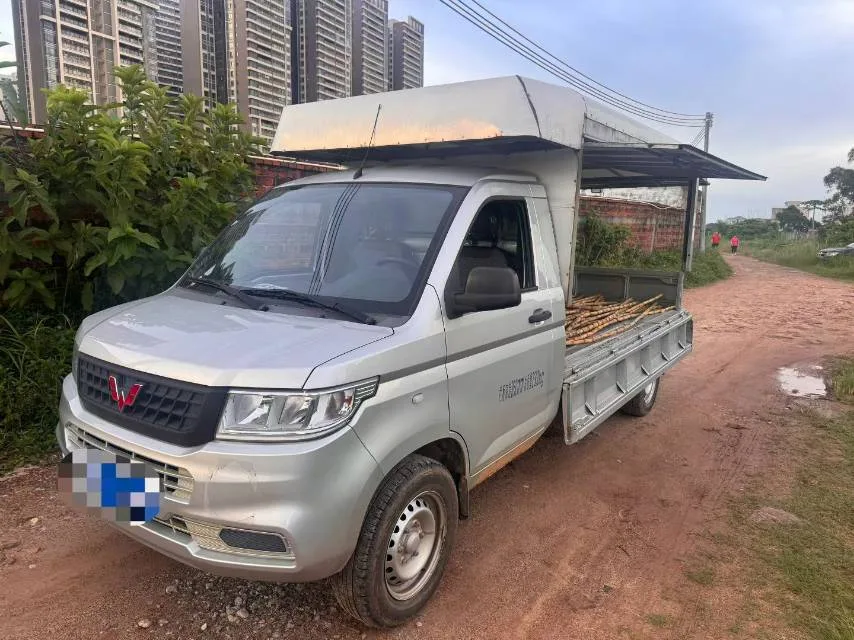 Wuling 2023 Rongguang Light Truck, 1.5L, 102马力, 2.835米 Single-Cab Pickup, Manual Transmission