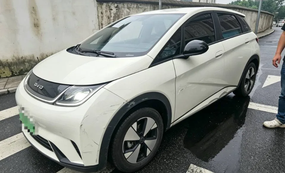 BYD 2023 Dolphin 420km Freedom Edition Automatic