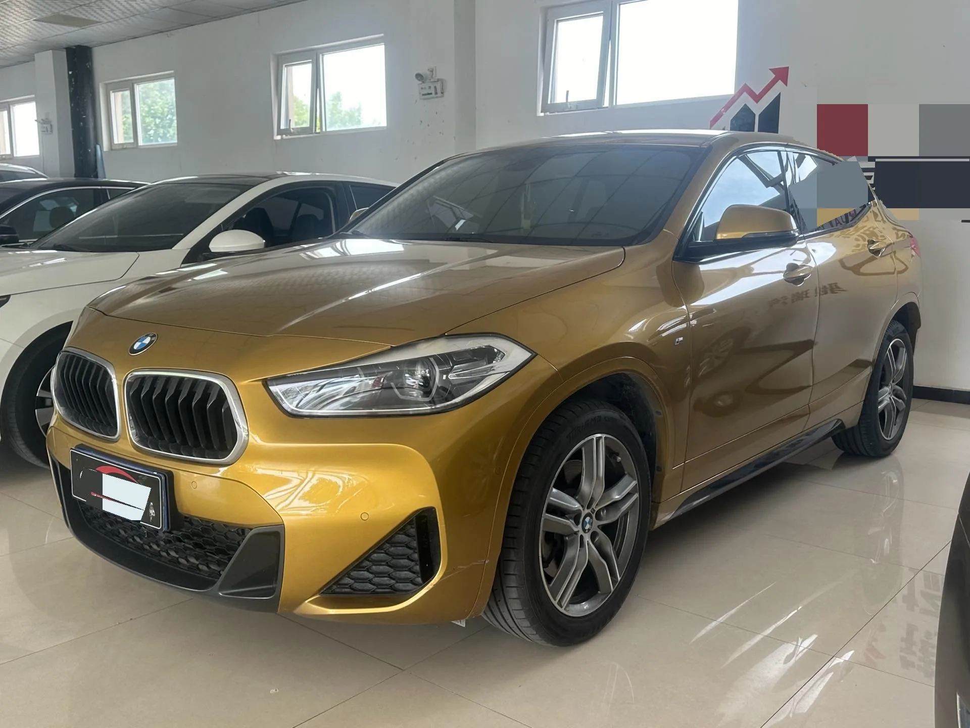 2020 BMW X2 sDrive25i Premium M Sport Package