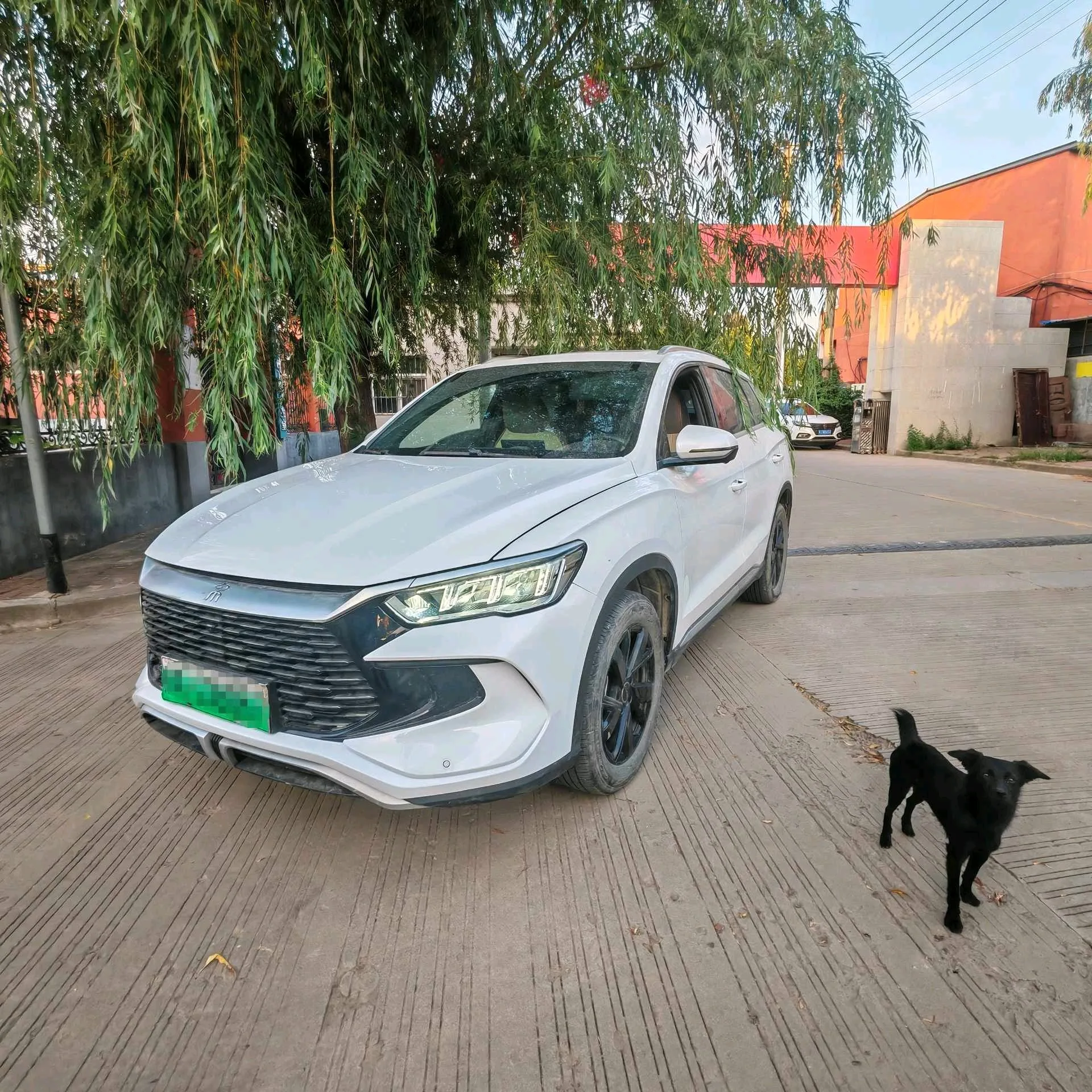 BYD Song Pro New Energy 2023 Model, Song Pro DM-i 1.5 CVT Champion Edition Navigator (71km Range, Automatic)
