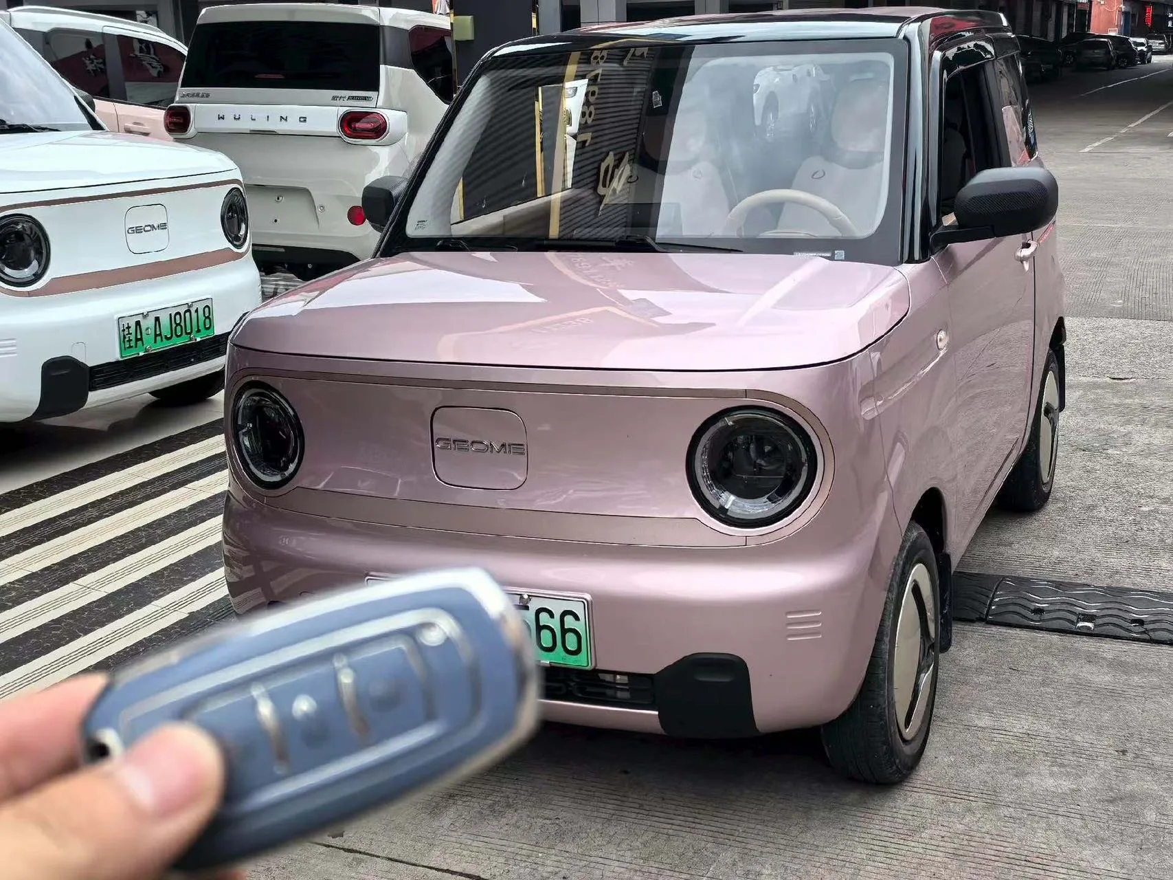 Panda 2023 Panda Mini 200km Endurance Bear