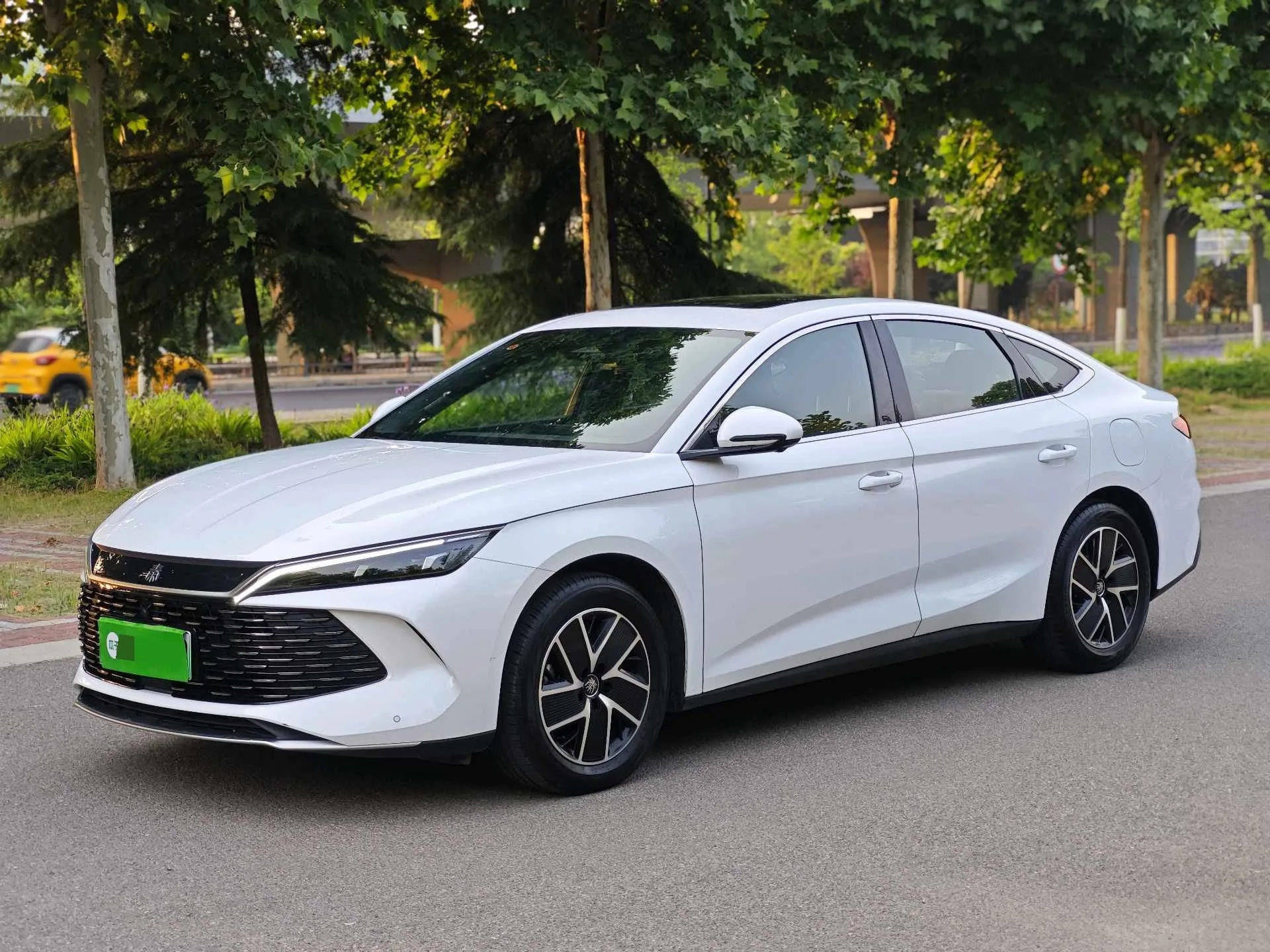 Qin L 2024 DM-i 120KM Super Edition