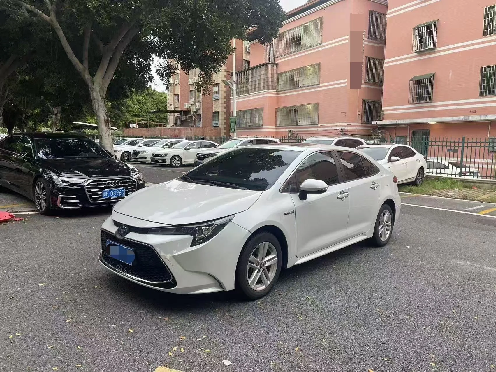 Levin 2019 Hybrid 1.8H E-CVT Luxury Edition (National V Emission Standard)
