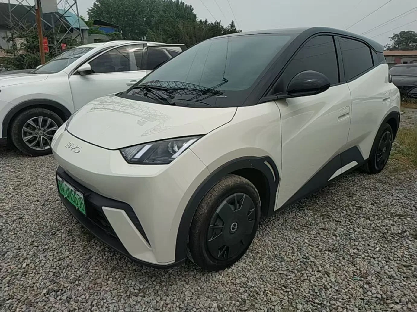 BYD 2023 Seagull Vitality Edition Automatic