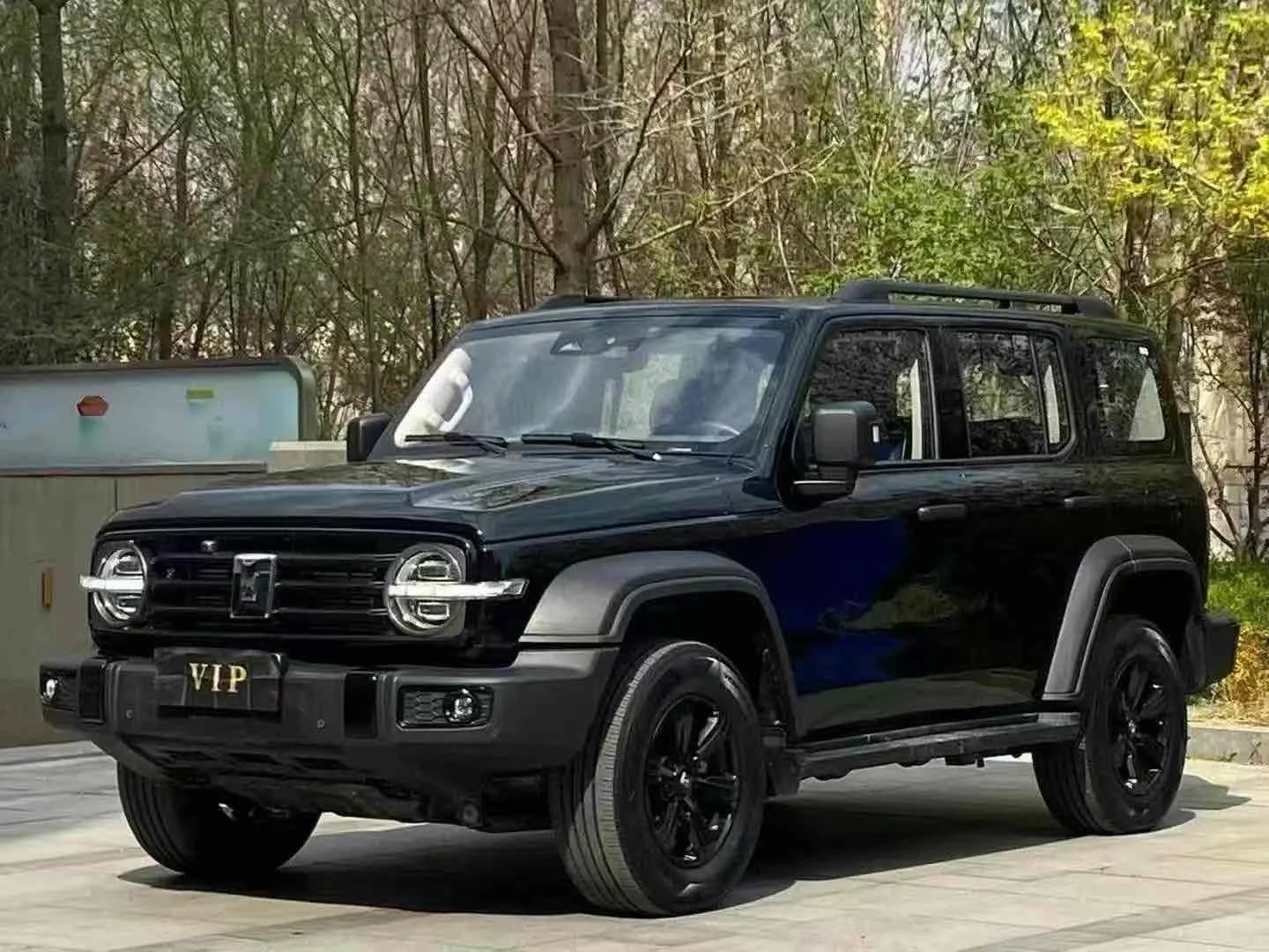 Tank 300 2024 Model Year 2.0T Challenger