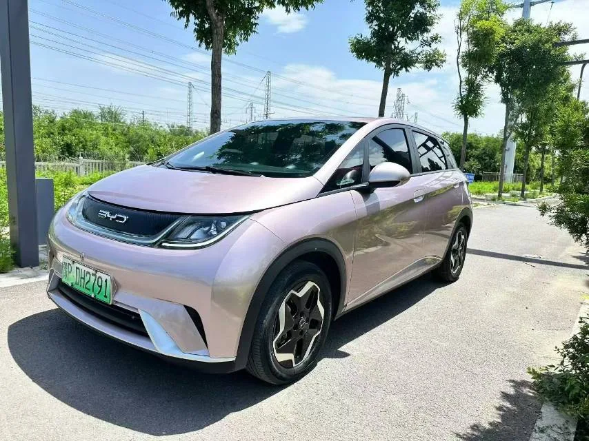 Dolphin 2021 405km Freedom Edition