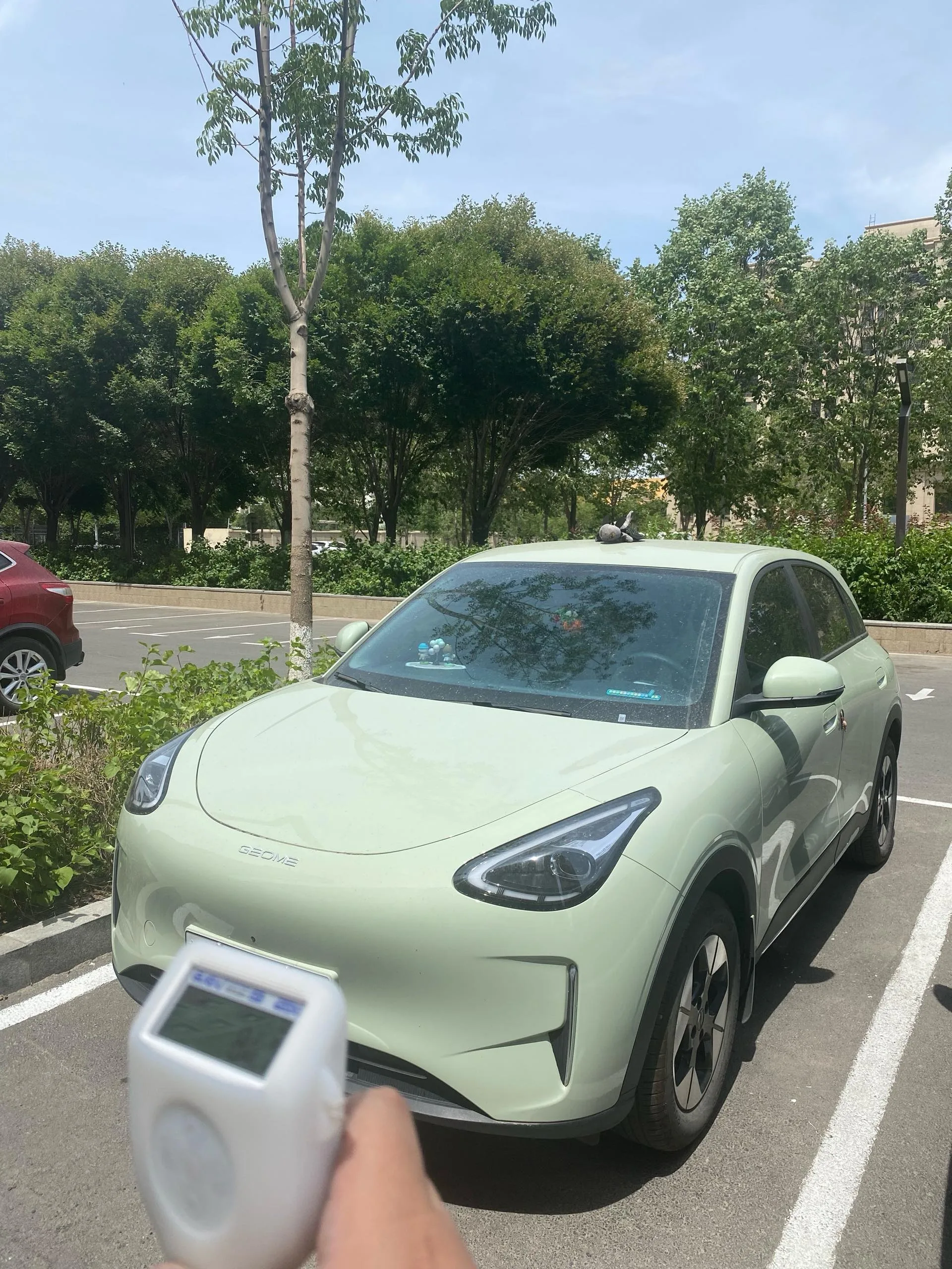 Star Wish 2025 310km Dream Edition