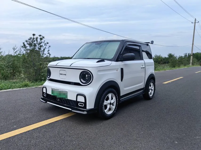 Geely 2025 Panda MINI 210km Panda Go-Kart Automatic