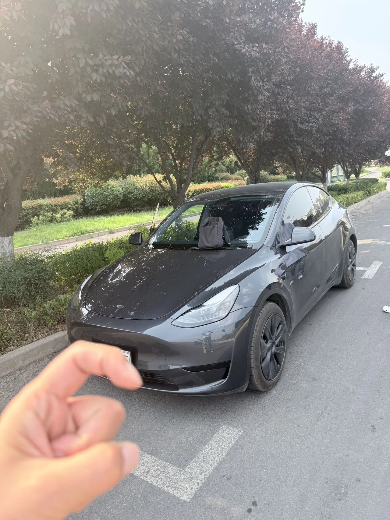 Model Y 2024 Rear-Wheel Drive