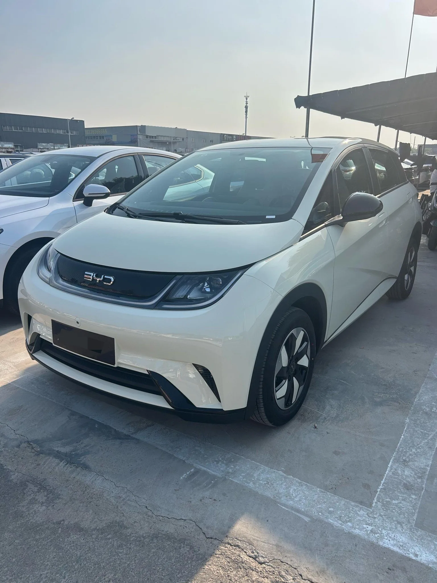 BYD 2025 Dolphin 420km Freedom Edition Automatic