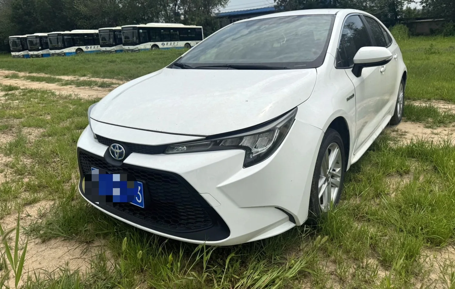 Levin 2021 Hybrid 1.8H E-CVT Luxury Edition