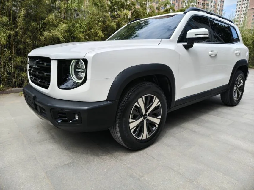 Haval Big Dog 2022 1.5T DCT 2WD Labrador Edition