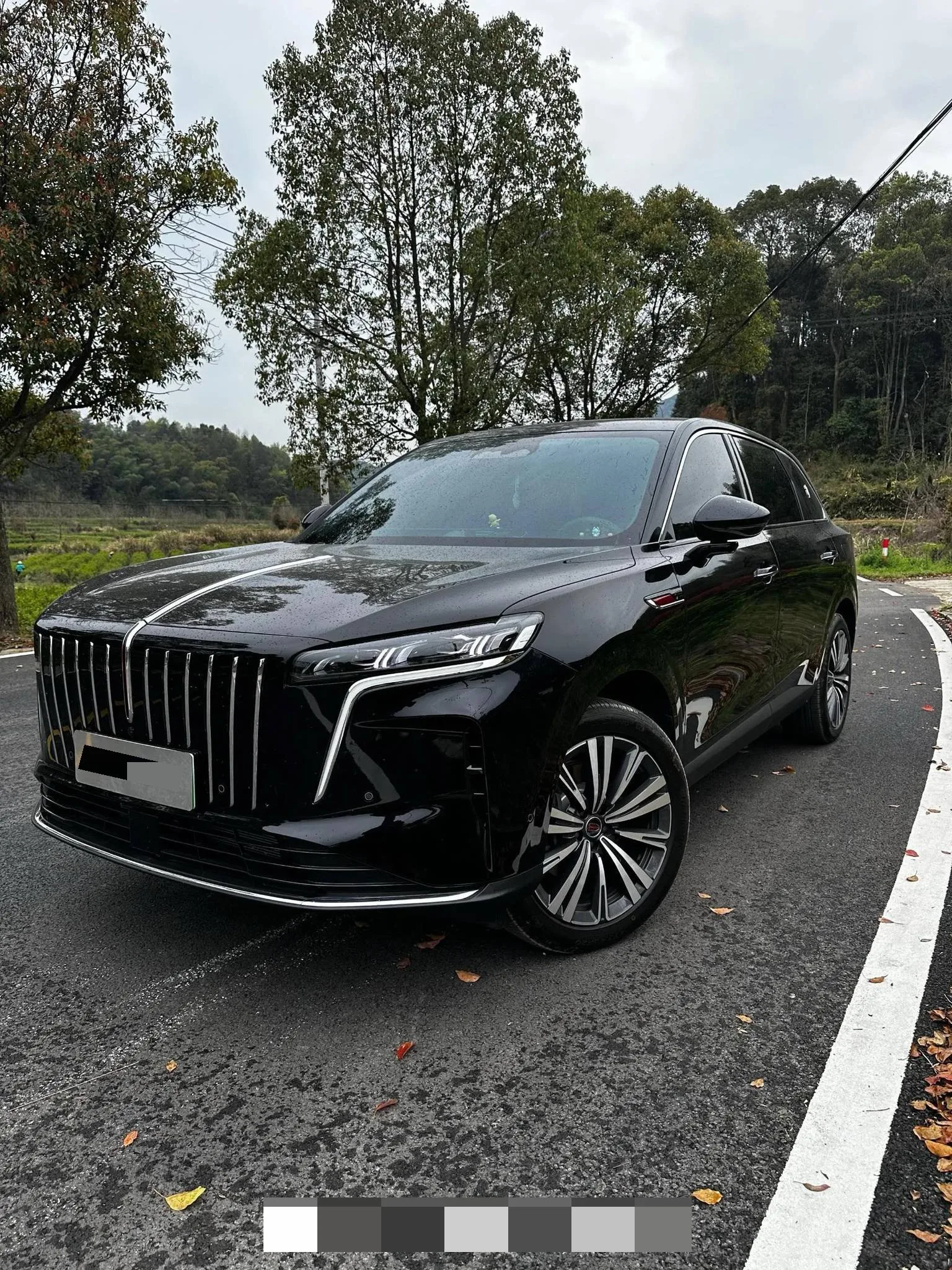 Hongqi 2026 HS6 PHEV 1.5T 240 Intelligent Hybrid Automatic