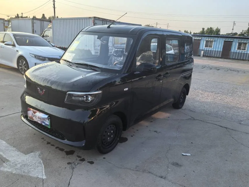 Wuling Sunshine New Energy 2025 Model 201km Standard Edition