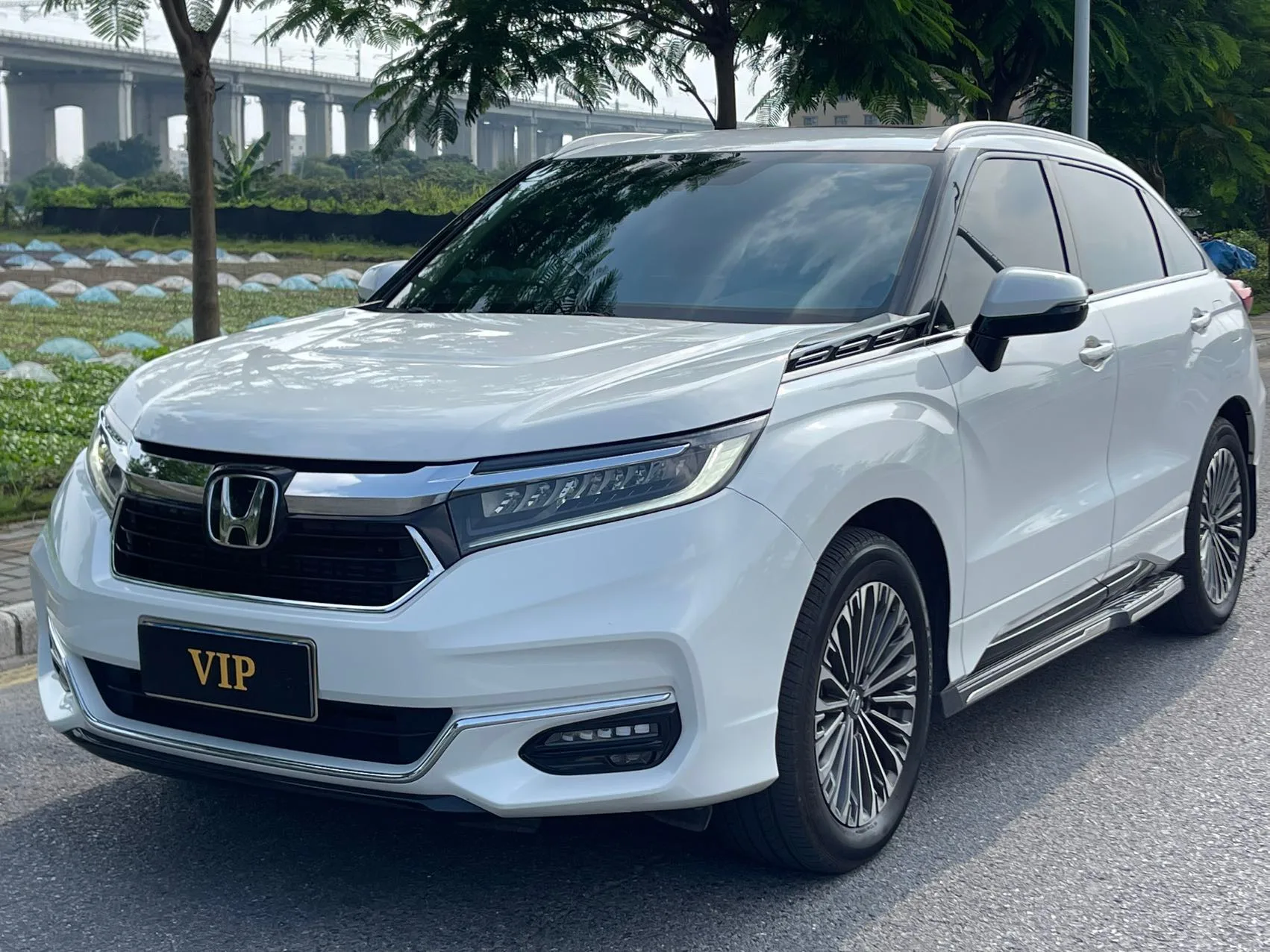 2023 Honda Avancier 2.0T 370TURBO 2WD Luxury Edition Automatic