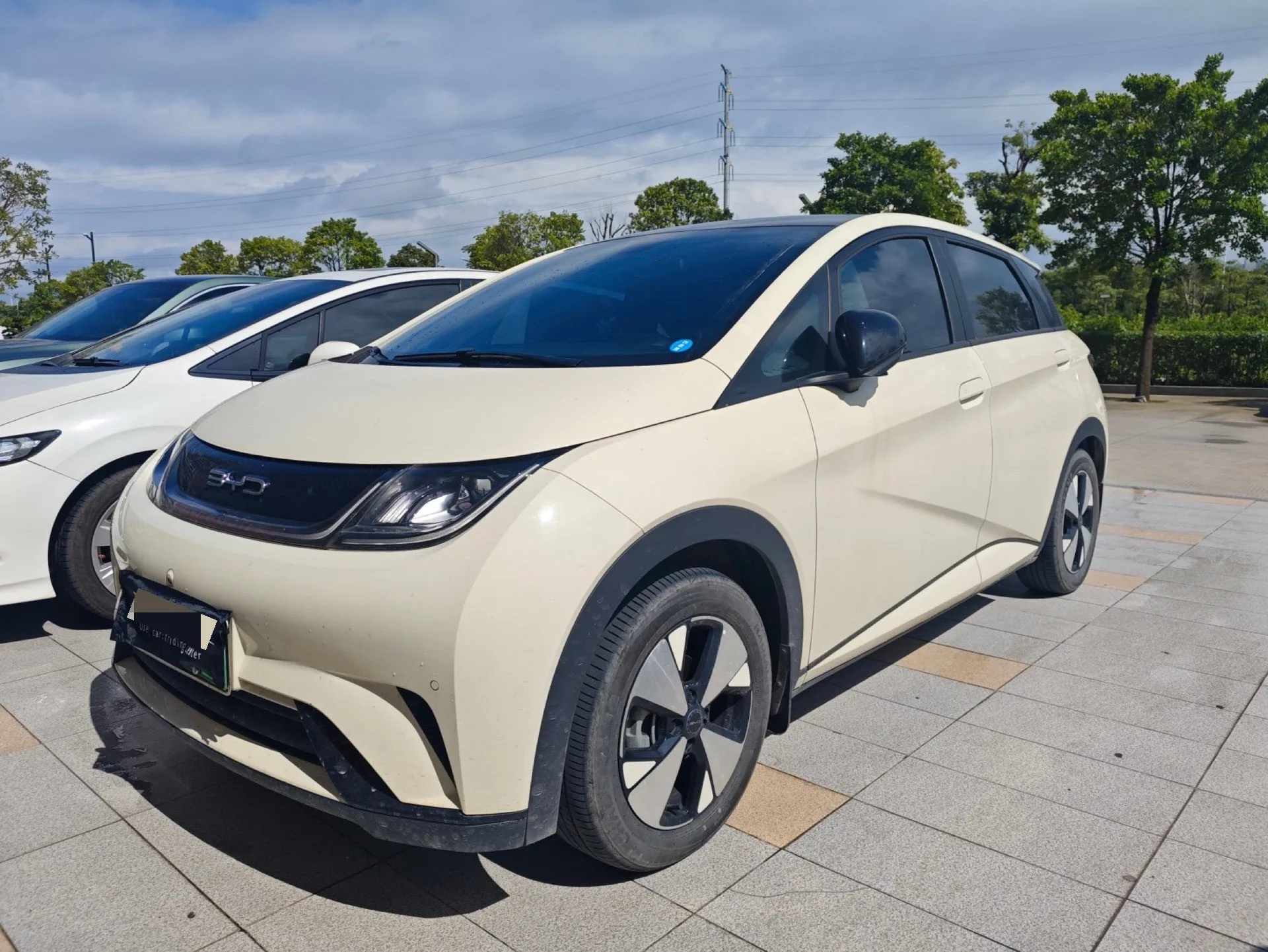 BYD 2023 Dolphin 420km Fashion Edition Automatic