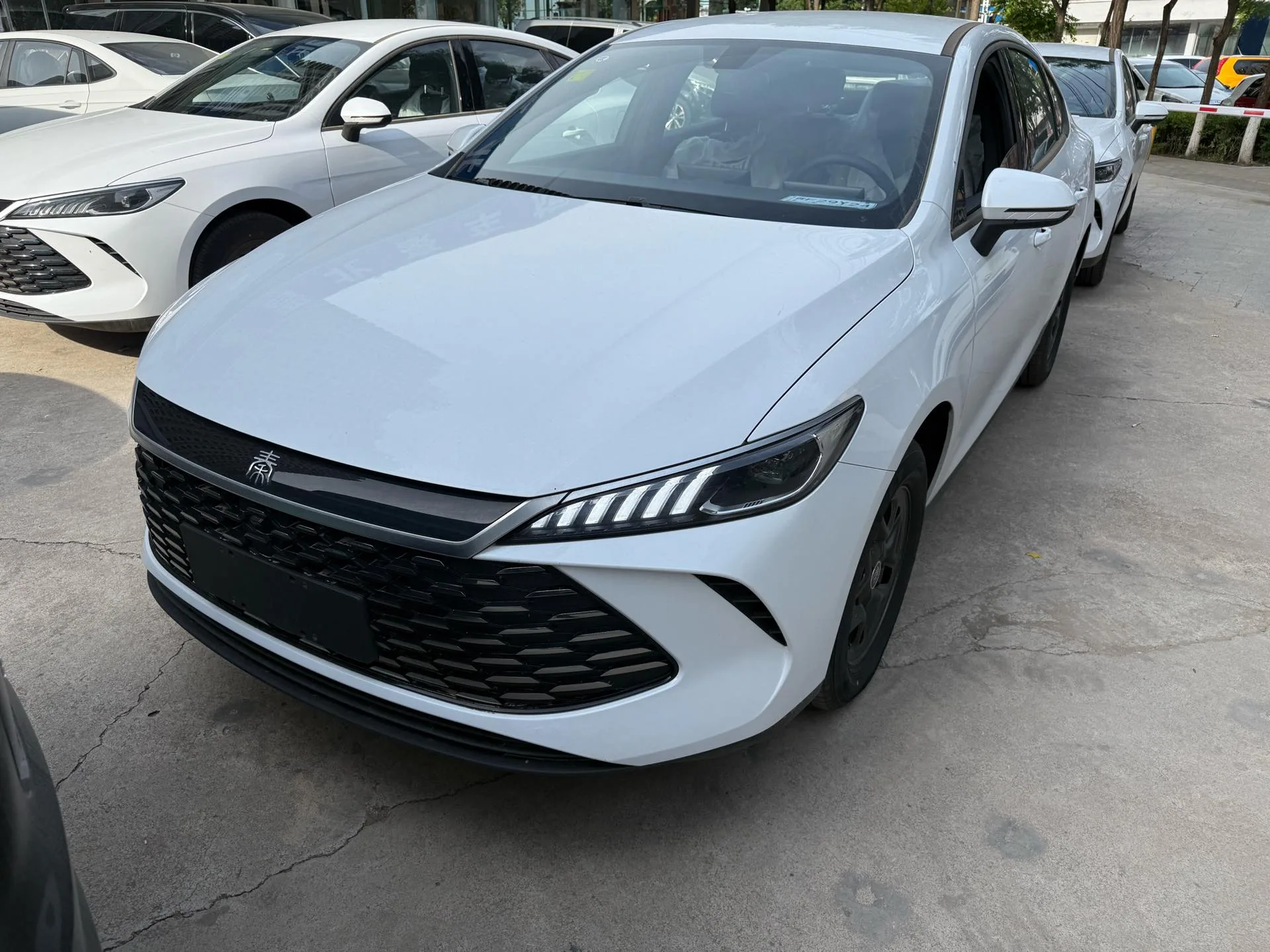 BYD 2026 Qin PLUS DM-i 1.5 CVT 128KM Entry-level Automatic