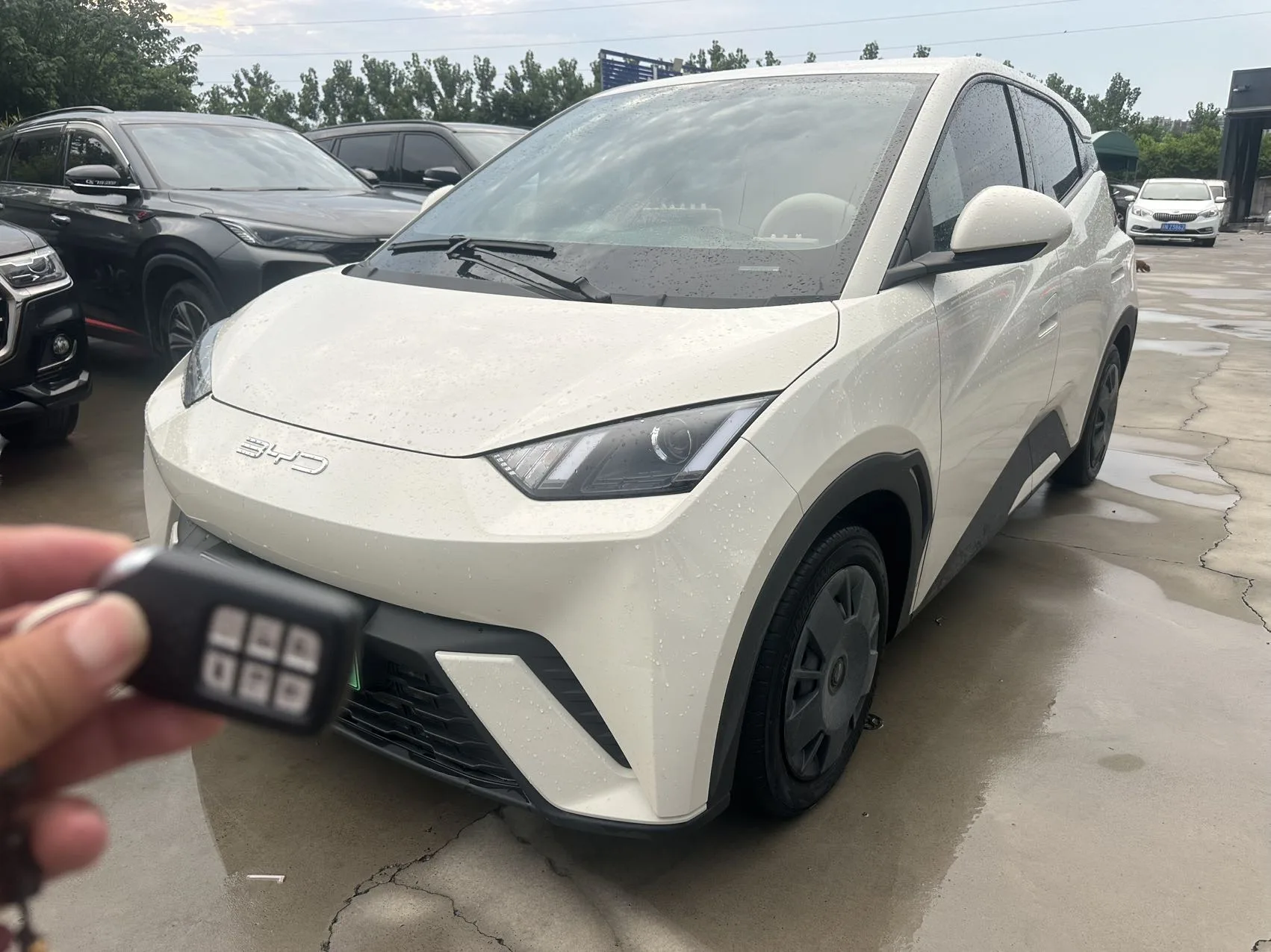 BYD 2024 Seagull Glory Edition 305km/h Vitality Edition Automatic