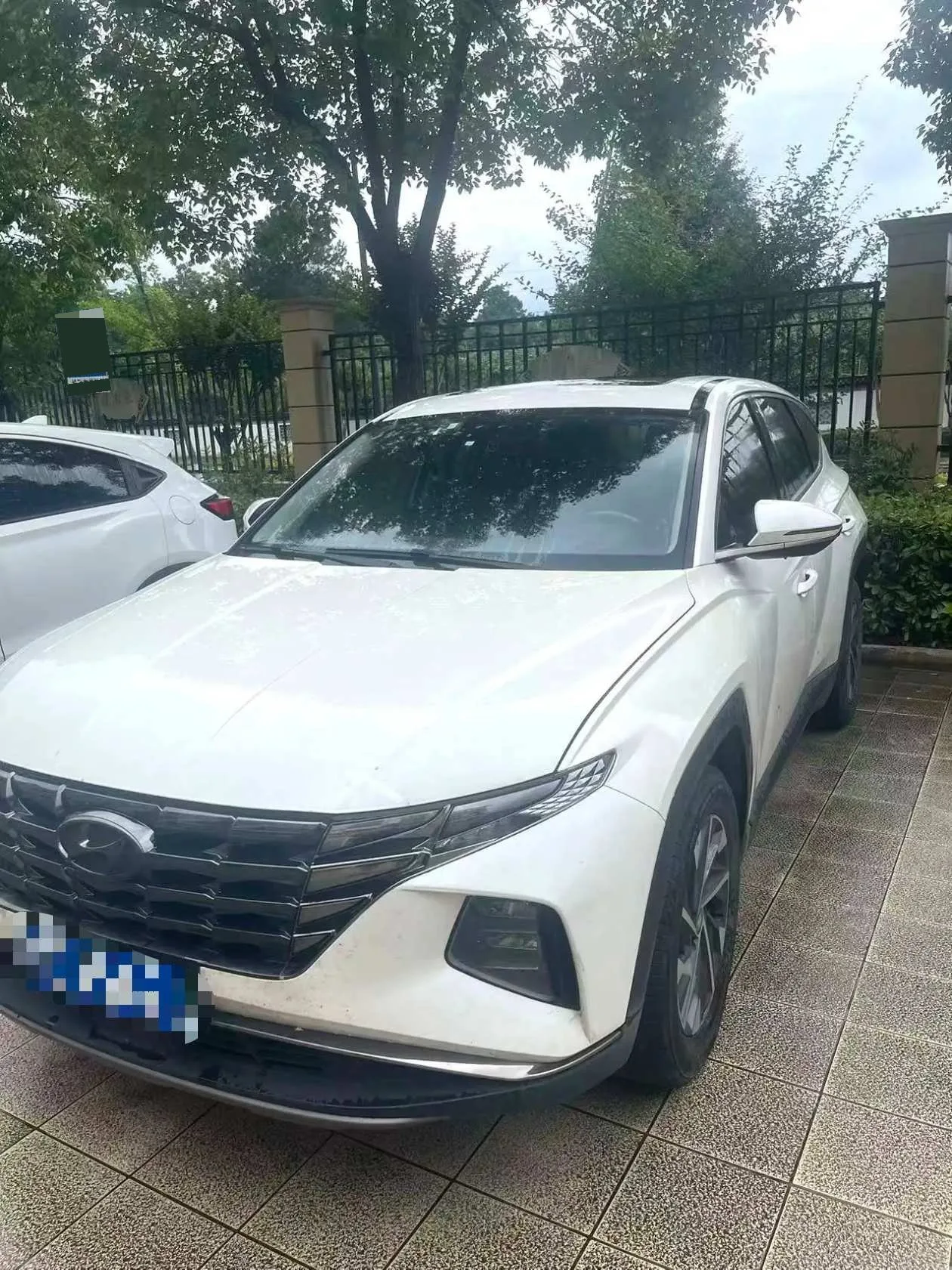 2021 Tucson L 1.5T GLX Elite Edition