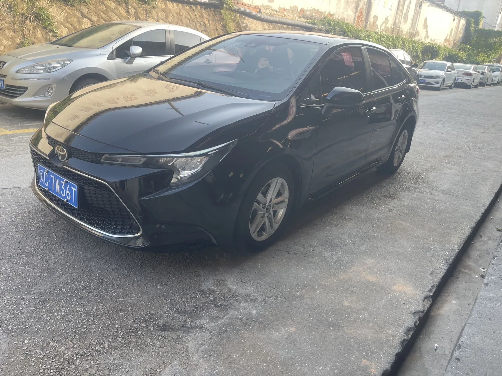 Levin 2019 185T CVT Luxury Edition (National V Emission Standard)