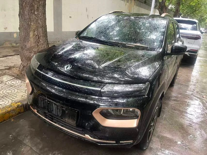 Dongfeng 2022 Nano BOX Champion Edition Light Breeze Version, 100 km, Standard Model, Automatic Transmission