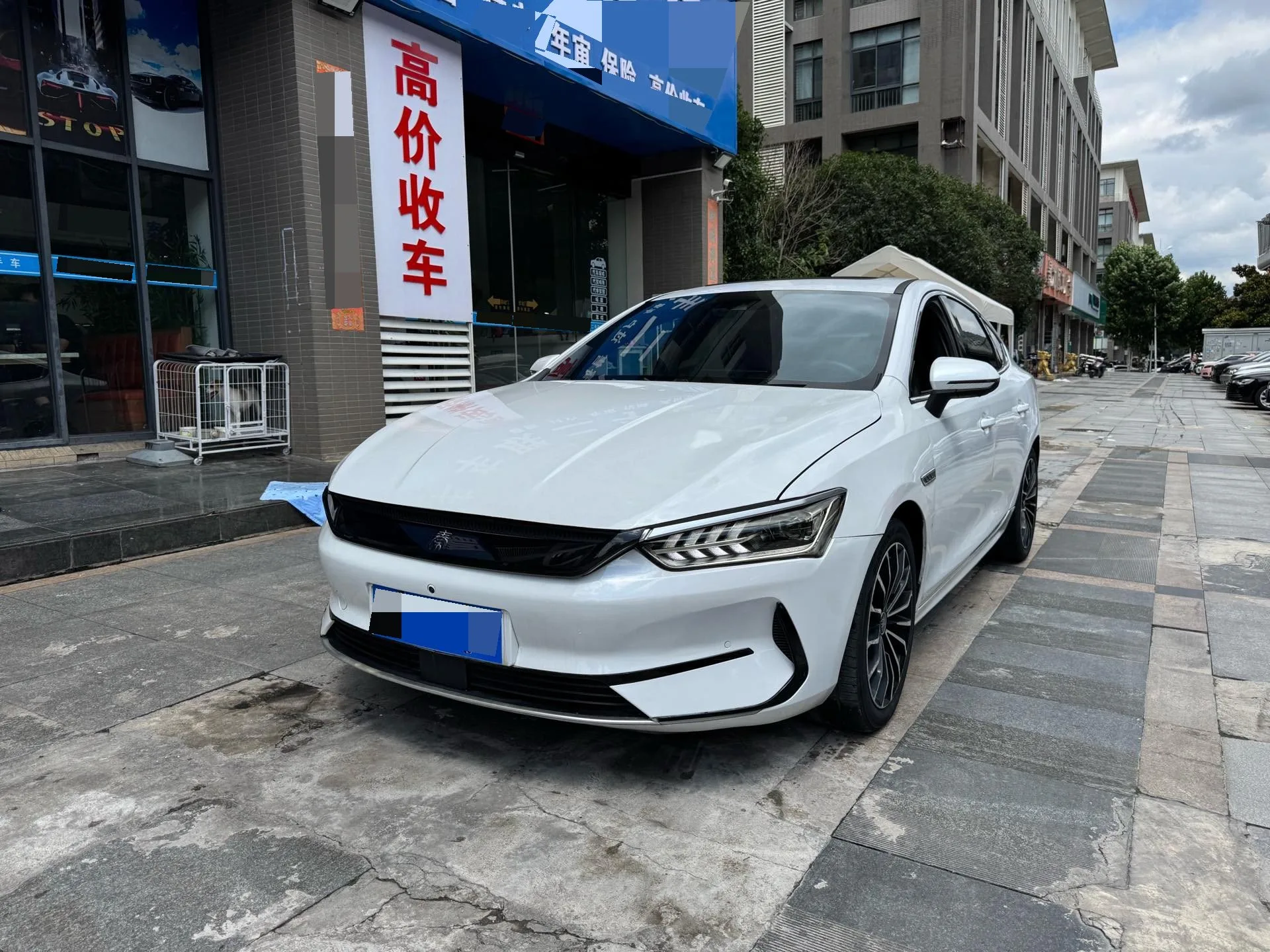 QinPLUS 2021 Model EV 600KM Flagship Version
