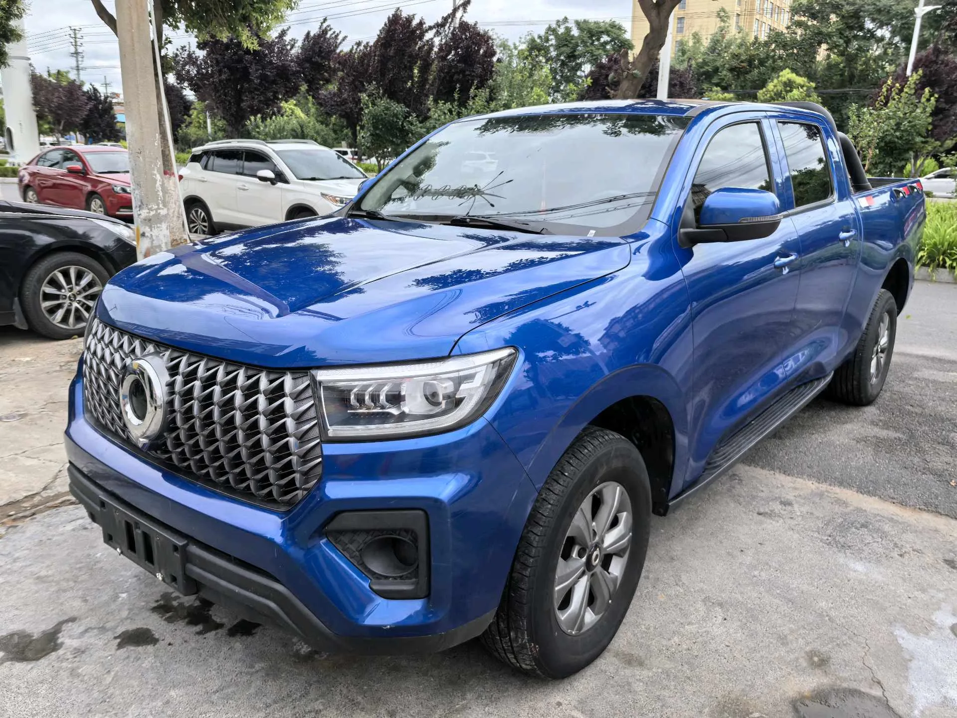 Great Wall 2023 Cannon 2.0T Commercial Version Diesel 4WD Elite Long Box Automatic Transmission